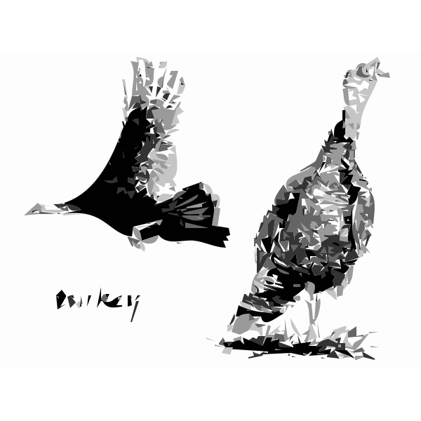2 Turkey Birds